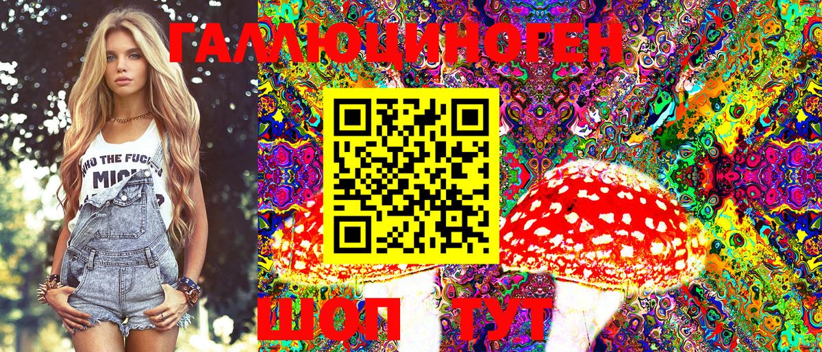 Галлюциногенные грибы GOLDEN TEACHER  Псилоцибиновые грибы Magic Shrooms  Вход с VPN  Наро-Фоминск 